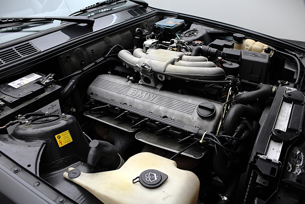 41053717-24.jpg