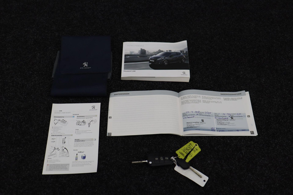 51193950-7.jpg