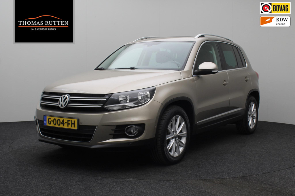 53432094